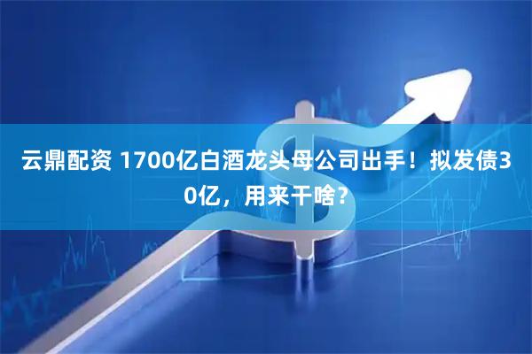 云鼎配资 1700亿白酒龙头母公司出手！拟发债30亿，用来干啥？