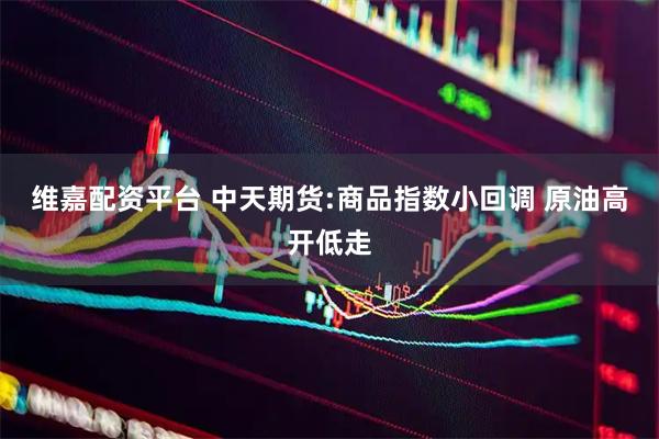 维嘉配资平台 中天期货:商品指数小回调 原油高开低走